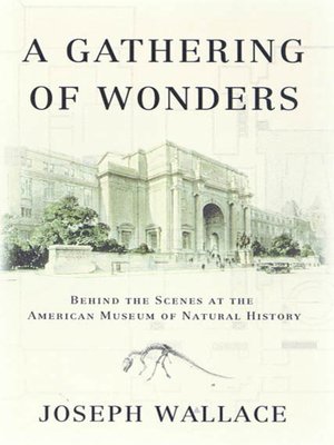 cover image of A Gathering of Wonders